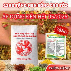 Ngũ Cốc Gà Đá Đại Đại