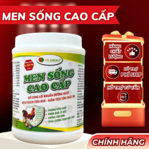 Men Tiêu Hóa Sống Cao Cấp Cho Gà Đá