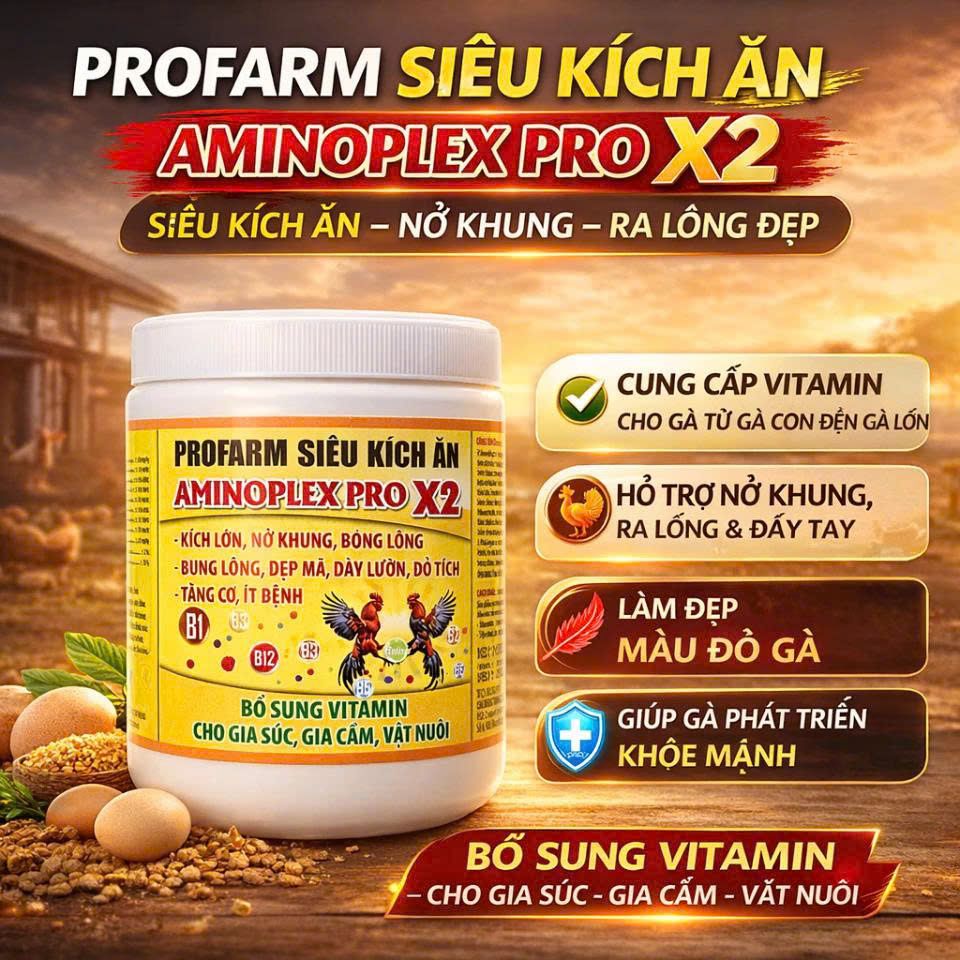 (200g - 500g) Siêu Kích Ăn AMINOPLEX PRO X2