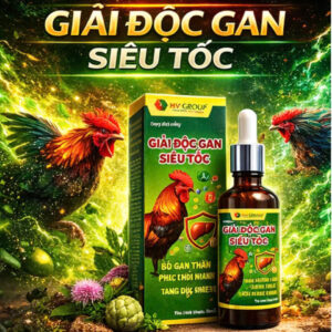 GIẢI ĐỘC GAN SIÊU TỐC