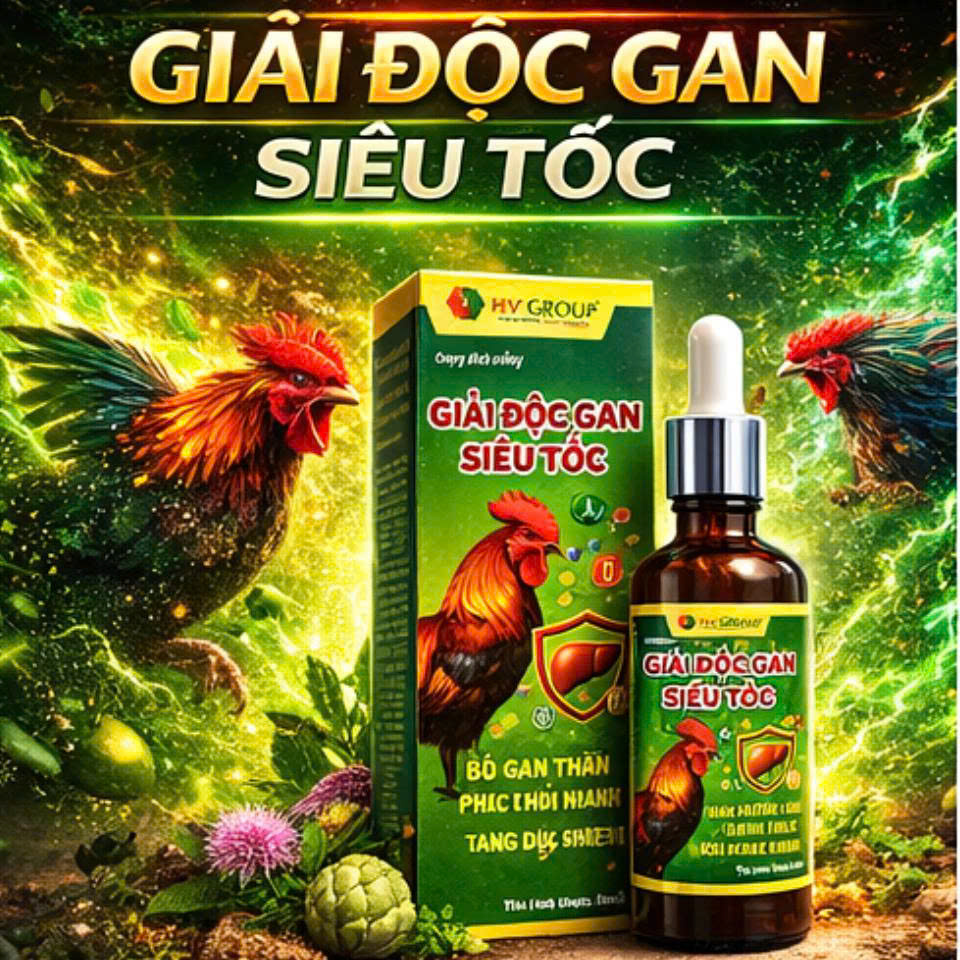 GIẢI ĐỘC GAN SIÊU TỐC